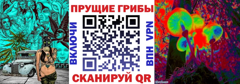 Галлюциногенные грибы мухоморы  darknet телеграм  Обнинск 