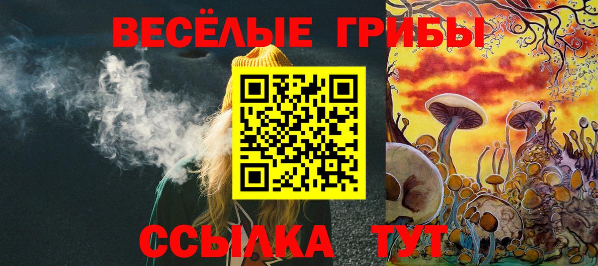 Галлюциногенные грибы Psilocybine cubensis Обнинск