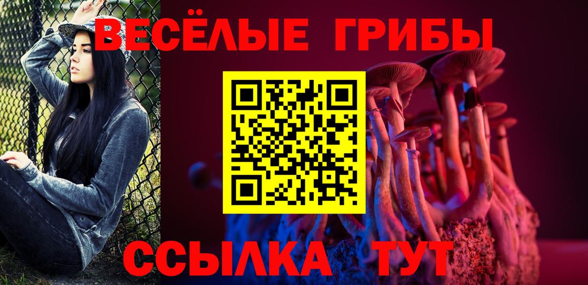 Обнинск  Галлюциногенные грибы GOLDEN TEACHER  Вход с VPN 